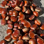 Frühstückspension Podere Legnotorto 3*