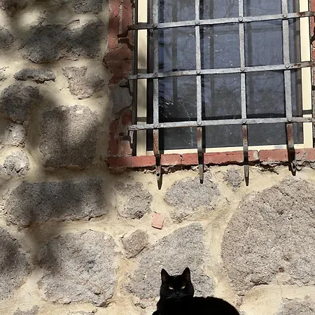 Podere Legnotorto Castel del Piano (Tuscany)
