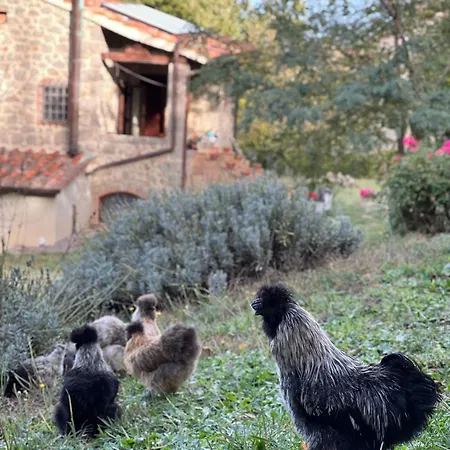 Podere Legnotorto Bed & Breakfast 3*