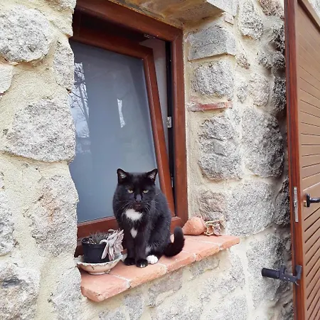 Podere Legnotorto Bed & Breakfast Castel del Piano (Tuscany)